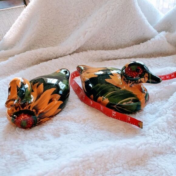 Ducks (2) - Picture 8 of 8